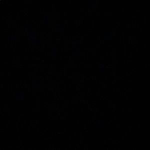 Meet your Posher, Caleb